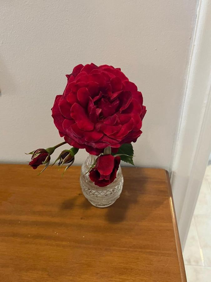 הוילה Sívros Gazena House מראה חיצוני תמונה